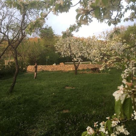 Bükkzsérc Bell Houseヴィラ エクステリア 写真